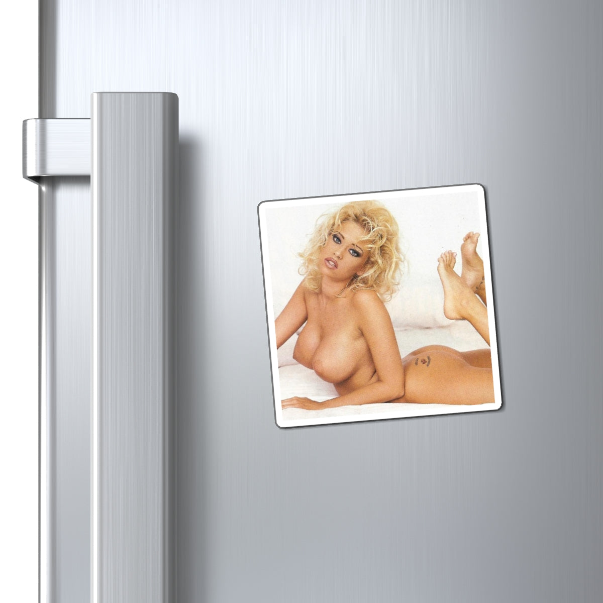 Magnets Pornstar Jenna Jameson Nude