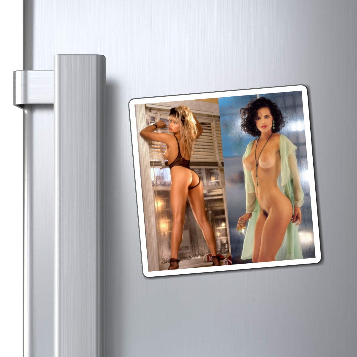 Magnets Playboy Playmates 1993 May June