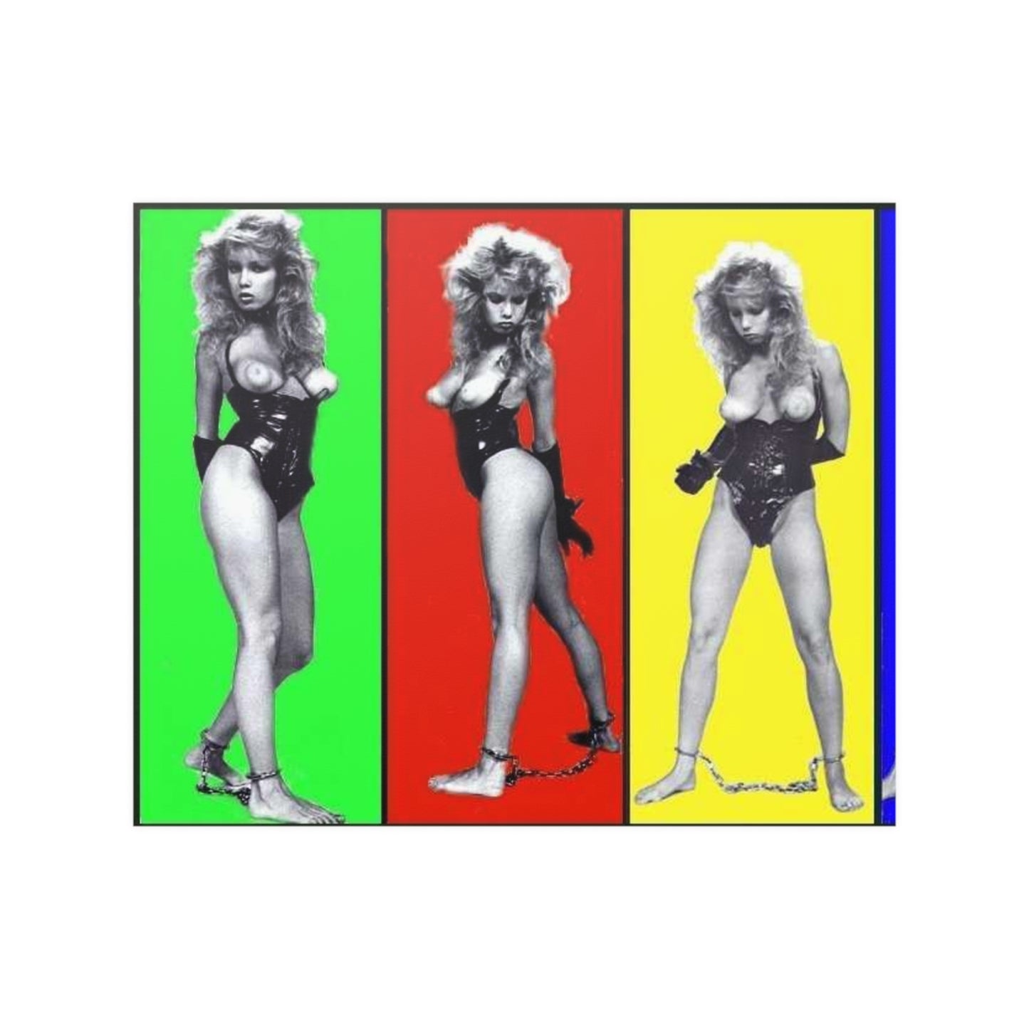 Satin Posters (210gsm) Traci Lords Nude